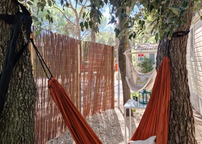 Mobile Chakula At Kozarica Camp
