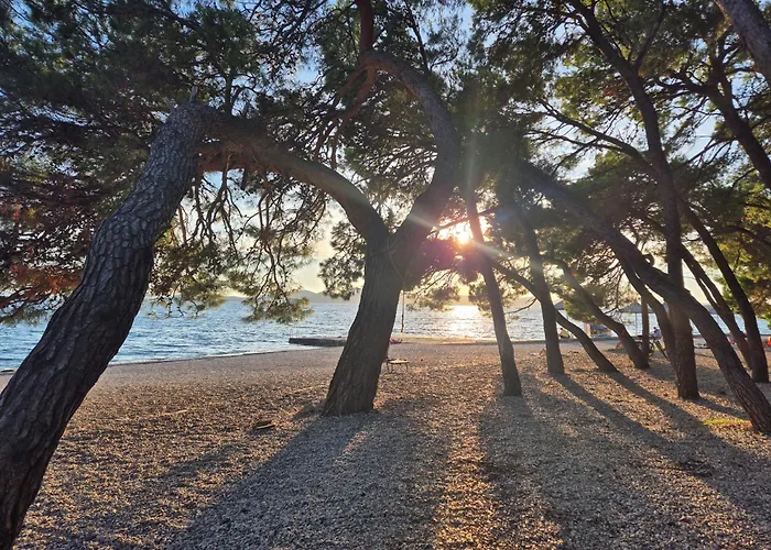 Mobile Chakula At Kozarica Camp Pakostane
